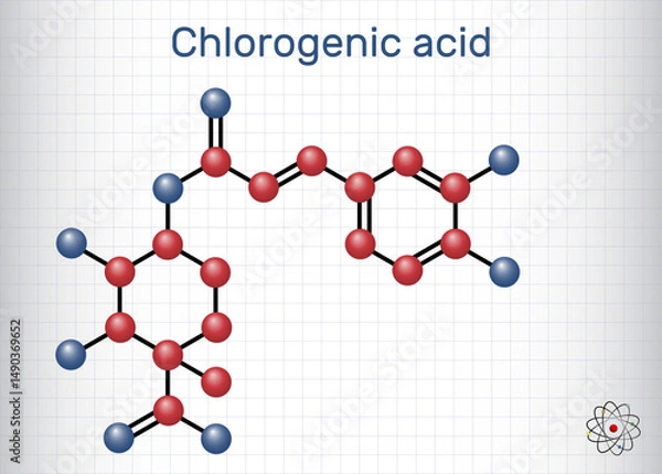 Fototapeta Chlorogenic acid molecule. Chemical structure of plant-based polyphenol antioxidant. Sheet of paper in a cage