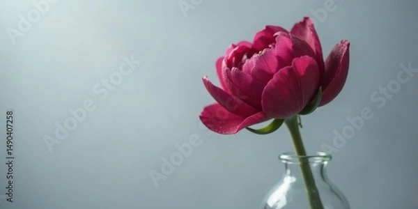 Obraz A single vibrant crimson bloom, delicately perched in a clear glass bottle, presents a study in elegant simplicity against a soft, muted background.