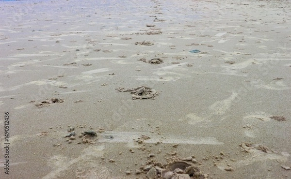 Obraz footprints in the sand