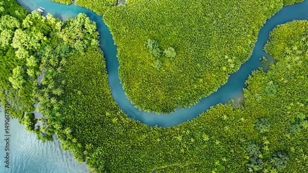 Fototapeta winding river in jungle, tropical landscape aerial view