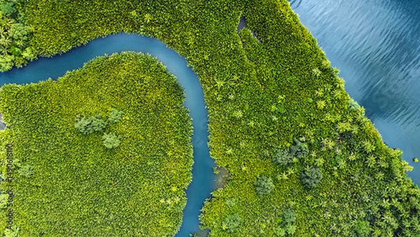 Fototapeta winding river in jungle, tropical landscape aerial view