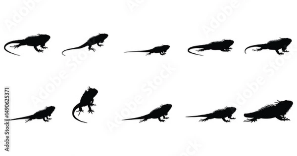 Obraz Iguana Silhouette Vector Set – Black Reptile Icons in Various Poses on White Background