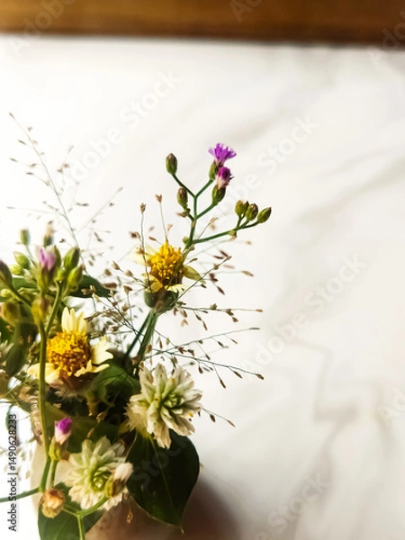 Fototapeta Wild fresh flowers isolated on white grey background. Copy space