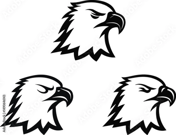 Obraz Eagle's head vector image