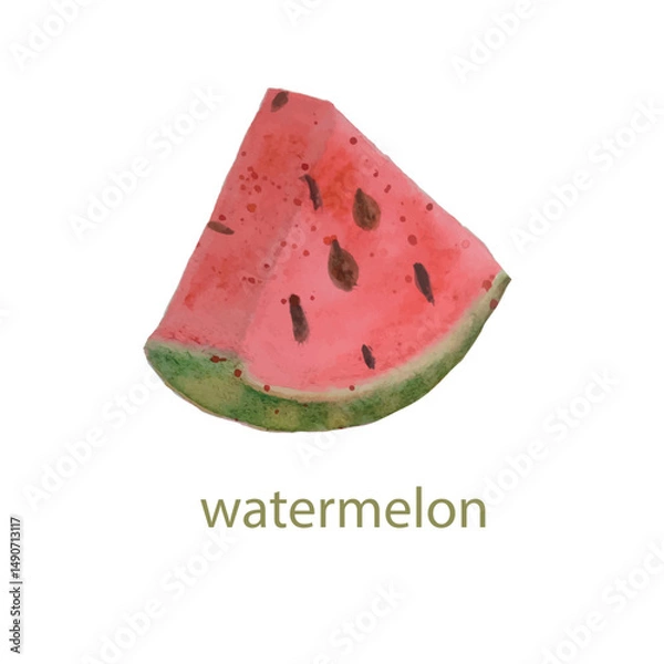 Fototapeta Watermelon piece watercolor stock vector illustration for web, or print, postcard