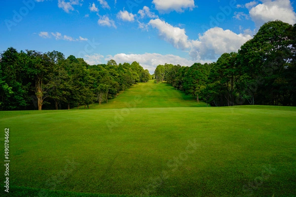 Fototapeta View of golf course with beautiful putting green.