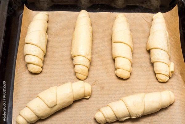 Obraz Croissant shaped dough on baking paper and baking tray, ready to bake croissants.