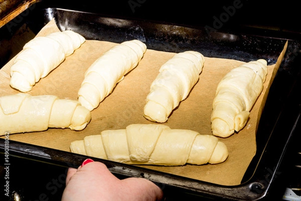 Obraz Place a baking tray with uncooked croissants on baking paper inside the oven.