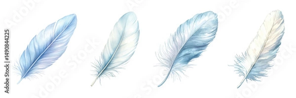 Fototapeta Watercolor set of white feathers. White bird feathers close-up on isolated background. Detailed fluffy bird plume. Vector illustration.