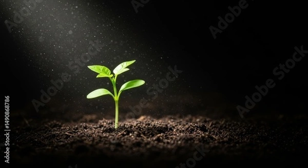 Obraz Sprout of Hope: Life Emerging from Darkness - A tiny sprout emerges from dark soil, illuminated by a soft light. Symbolizing hope, growth, new beginnings, resilience, and potential