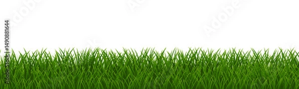 Fototapeta Grass Frame With Isolated White Background