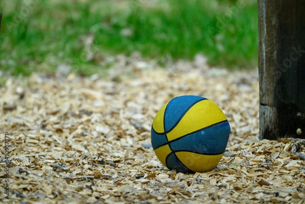 Obraz A basketball in vibrant blue and yellow colors lies on a bed of wood chips near a post. The green grass in the background is illuminated by the afternoon sun, creating a peaceful outdoor setting