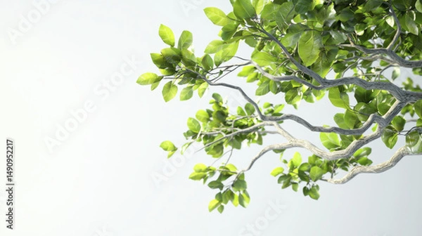 Fototapeta Lush green leaves on twisting branch create serene and calming atmosphere, perfect for nature lovers and tranquil settings