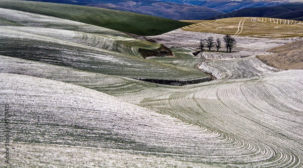 Fototapeta Rolling Farm Fields Covered in Snow on the Palouse in Washington State
