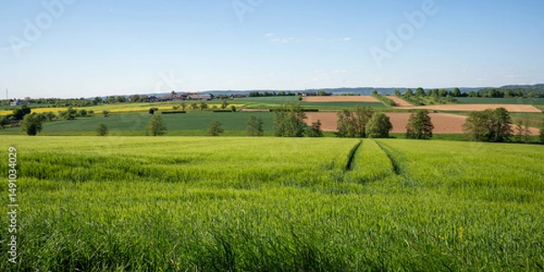 Obraz Backnang