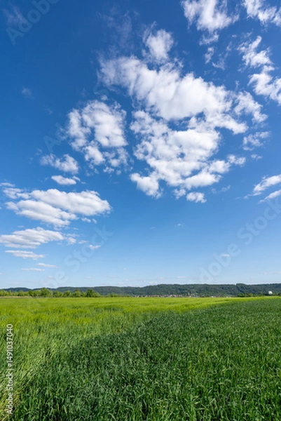 Obraz Allmersbach im Tal