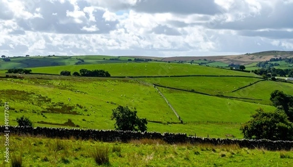 Fototapeta Rolling green hills with grazing animals under a cloudy sky