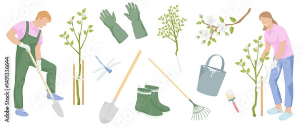 Fototapeta A man with a shovel digs on, women ties the apple saplings to a wooden peg. gardening tools - protective gloves, shovel, rake, pair of rubber boots, blooming apple tree,