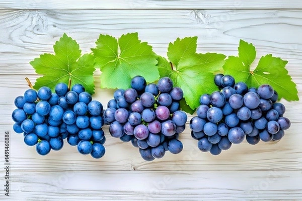 Obraz Fresh blue grapes with green leaves on rustic wooden background.