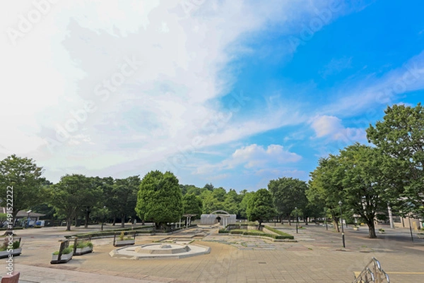 Fototapeta 爽やかな青空と新緑
