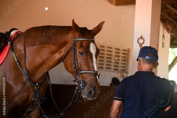 Fototapeta portrait of a horse, brown horse portrait, horse in stable, horse in barn