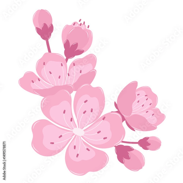 Obraz A Beautiful Cherry Blossom Flower Border. Flat and Simple Pink Sakura.