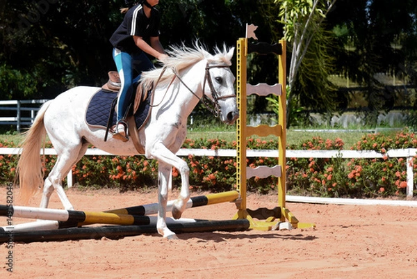 Fototapeta woman riding a horse, show jumping, equestrian show jumping, equestrian competition, rider show jumping, obstacle course, cross country show jumping, young woman, equestrian training, horse riding
