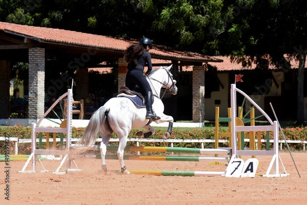 Fototapeta woman riding a horse, show jumping, equestrian show jumping, equestrian competition, rider show jumping, obstacle course, cross country show jumping, young woman, equestrian training, horse riding
