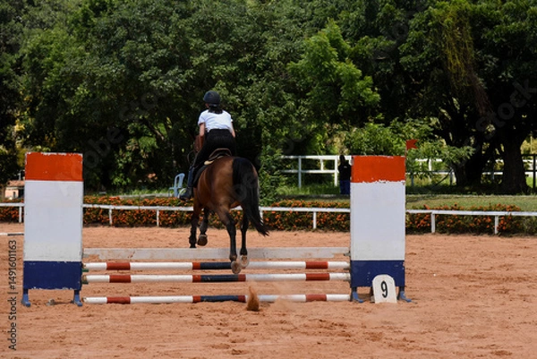 Fototapeta Show jumping,Horse jumping.Equestrian jumping,Jumping horse,Equestrian sport,Horseback riding,Equestrian competition,Rider jumping, Obstacle course, Cross-country jumping, Young woman
