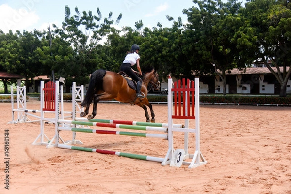 Fototapeta Show jumping,Horse jumping.Equestrian jumping,Jumping horse,Equestrian sport,Horseback riding,Equestrian competition,Rider jumping, Obstacle course, Cross-country jumping, Young woman
