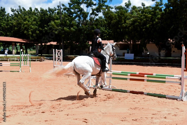 Fototapeta Show jumping,Horse jumping.Equestrian jumping,Jumping horse,Equestrian sport,Horseback riding,Equestrian competition,Rider jumping, Obstacle course, Cross-country jumping, Young woman
