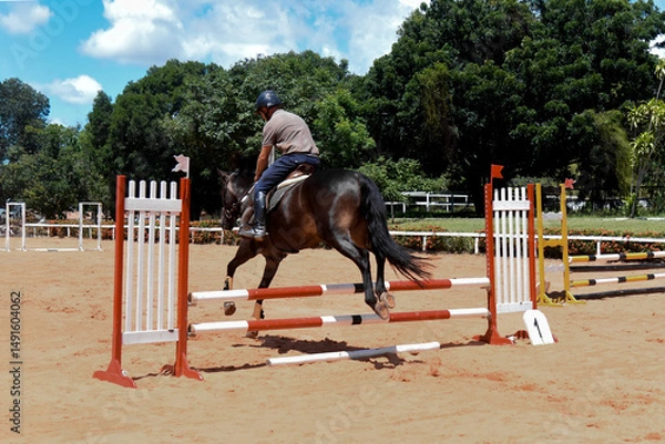 Fototapeta man riding horse, show jumping, equestrian show jumping, equestrian competition, obstacle course, cross-country jumping, young man, equestrian training, horse riding
