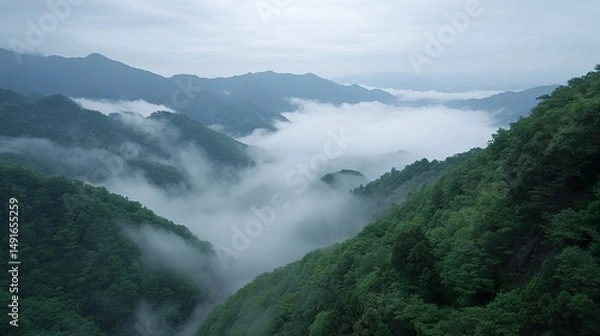 Obraz mist over the mountains