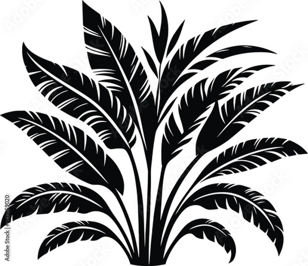 Obraz Tropical Plant landscape element vector illustration isolated on a white background