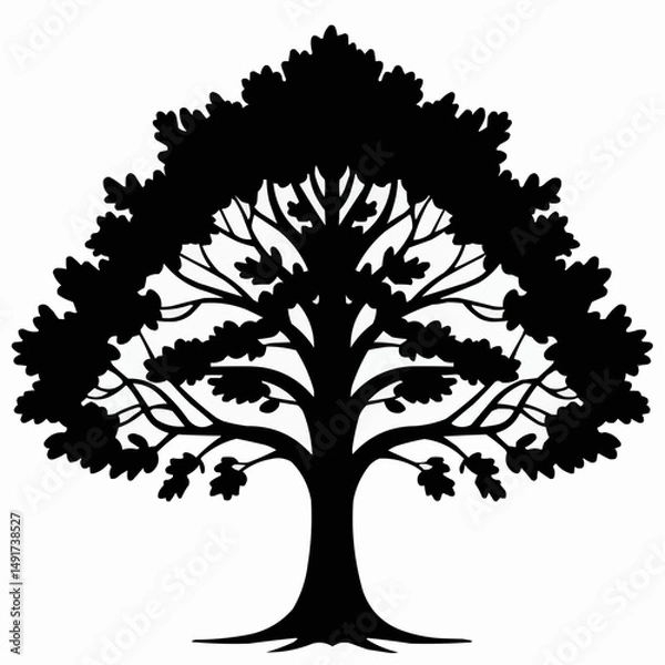 Fototapeta Half silhouette view of tree with leaves & visible branches on white background