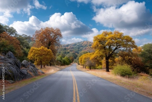 Fototapeta Driving on Road Through Fall Foliage with Cloudy Sky