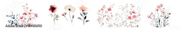 Fototapeta Collection of floral designs in pastel colors. isolated on transparent background