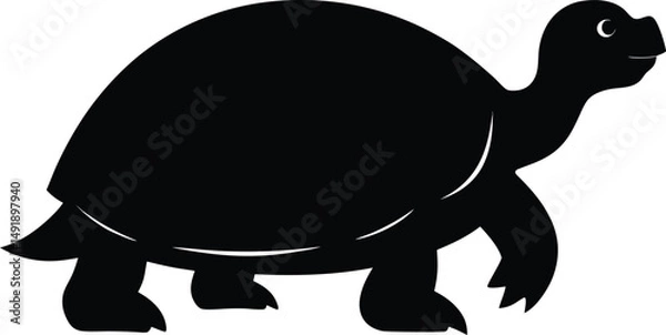 Obraz turtle vector illustration