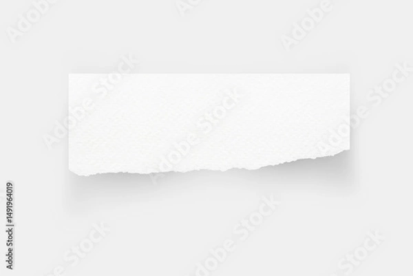 Fototapeta Torn paper edges. Ripped paper texture. Paper tag. White paper sheet for background with clipping path. Close up image.