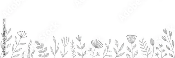 Fototapeta Botanical illustrations of delicate flowers and leaves in a minimalist style for decoration and inspiration