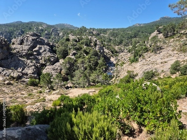 Obraz Majestic Cascade: Piscia di Ghjaddu landscape in Corsica