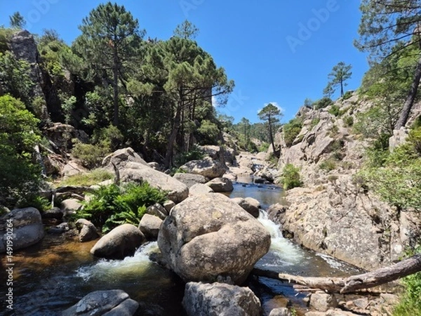 Obraz Majestic Cascade: Piscia di Ghjaddu Waterfall in Corsica