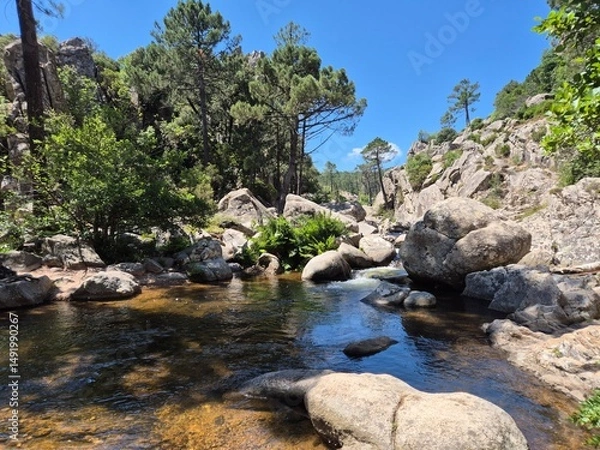 Obraz Majestic Cascade: Piscia di Ghjaddu Waterfall in Corsica