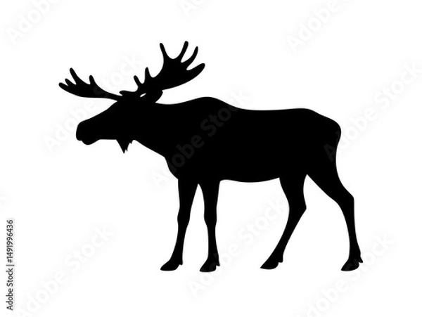 Obraz Moose Silhouette with Large Antlers