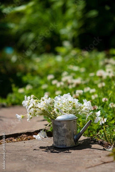 Obraz A rustic watering can with fresh white flowers sits on stone amid lush greenery