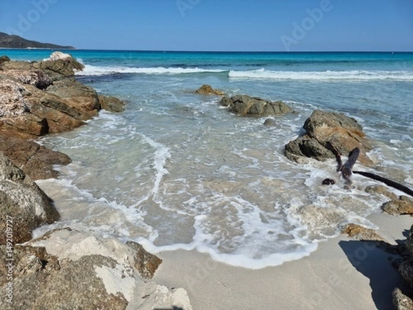 Obraz white sand, a few rocks and crystal clear water at the beach of plage de saleccia in corsica