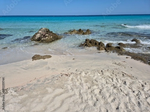 Obraz white sand, a few rocks and crystal clear water at the beach of plage de saleccia in corsica