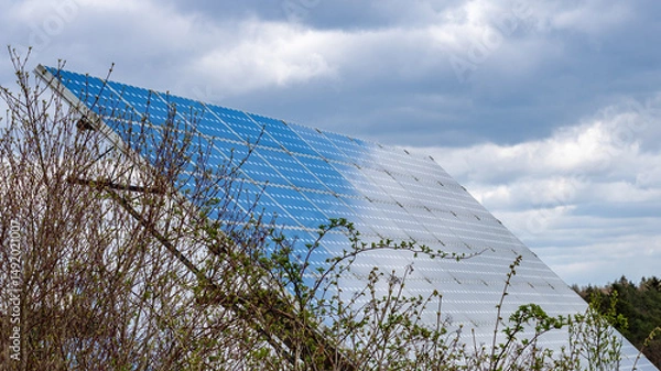 Fototapeta Solar Panel Array Reflecting Sky with Bushes in Foreground 