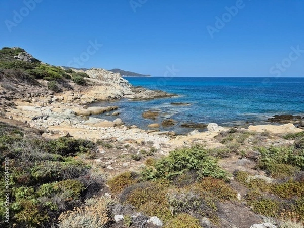 Obraz rugged coastal landscape at the ‘plage du lotu’ beach in corsica