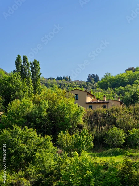 Obraz A farmhouse between vibrant greenery, with trees and plants, futures traditional architectural elements, including a clay-tile roof beneath a clear, blue sky. Travel to Tuscany, Italy.